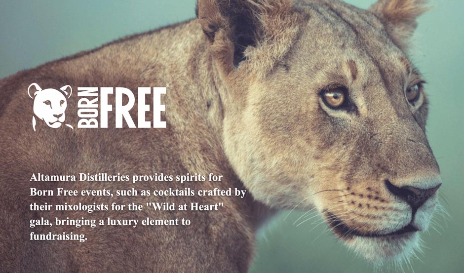 born free
